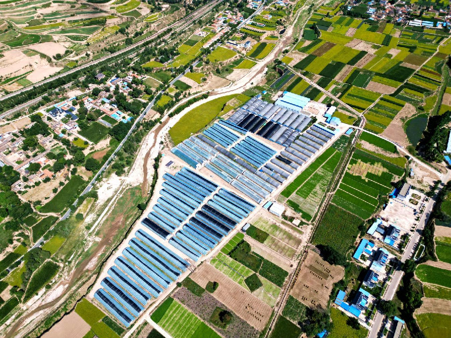 陇西县马河镇卜家渠村现代设施蔬菜产业园（张鹏程 摄）