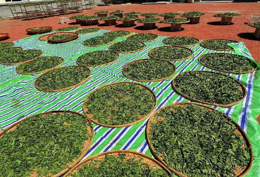 晾晒场（高伟 摄）