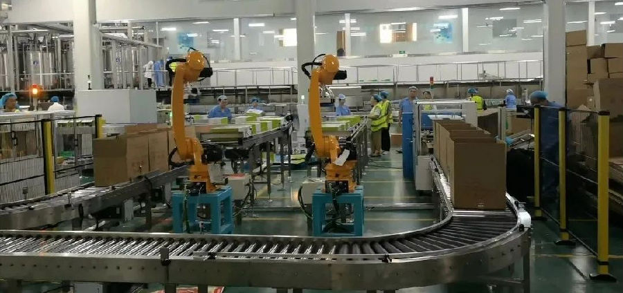 核桃加工车间一角（李蓉 摄）