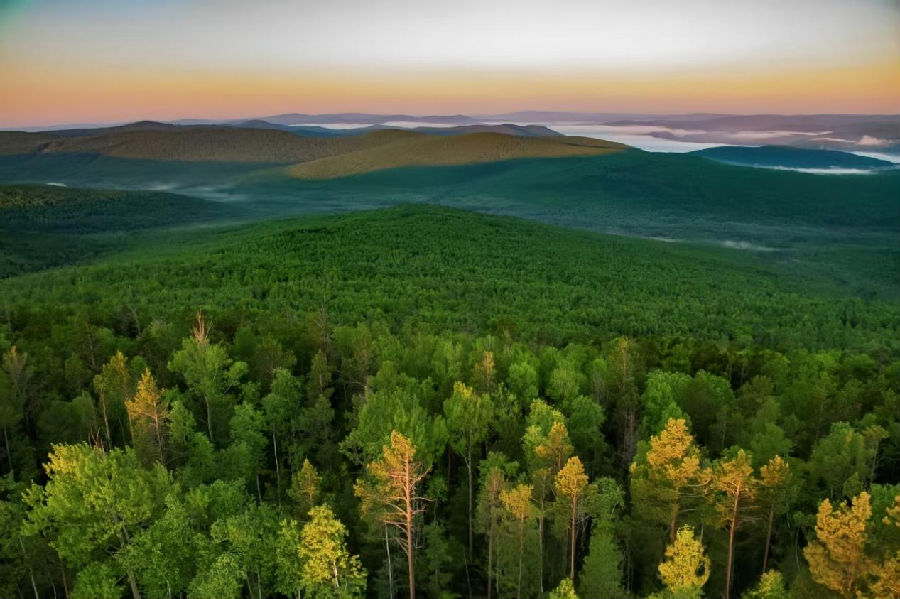 新林林业局施业区内西伯利亚红松林（刘磊 摄）