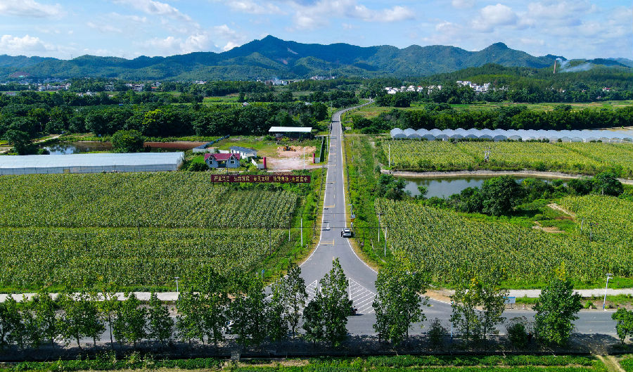 赣州市农村公路一景 （李铭 摄）