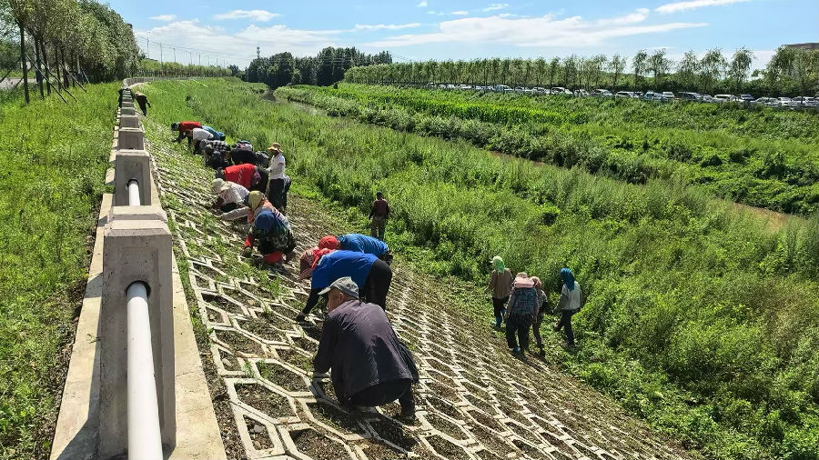 吉林经开区通溪河堤岸美化绿化见成效（张超 摄）