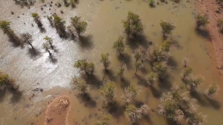 柯坪县哈拉坤胡杨林（艾热提 摄）