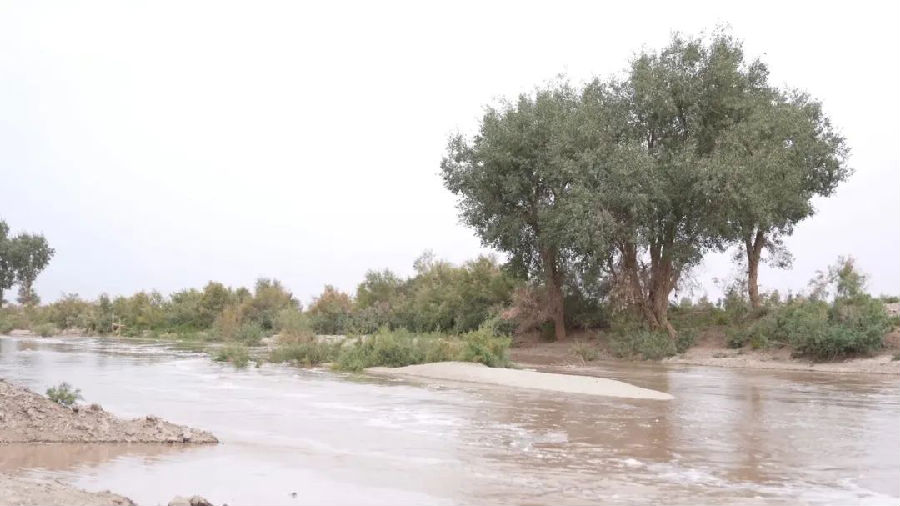 柯坪县哈拉坤胡杨林（艾热提 摄）