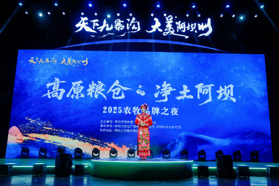 活动现场（严路 摄）