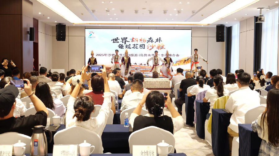 参会人员欣赏文艺节目（张鸿 摄）