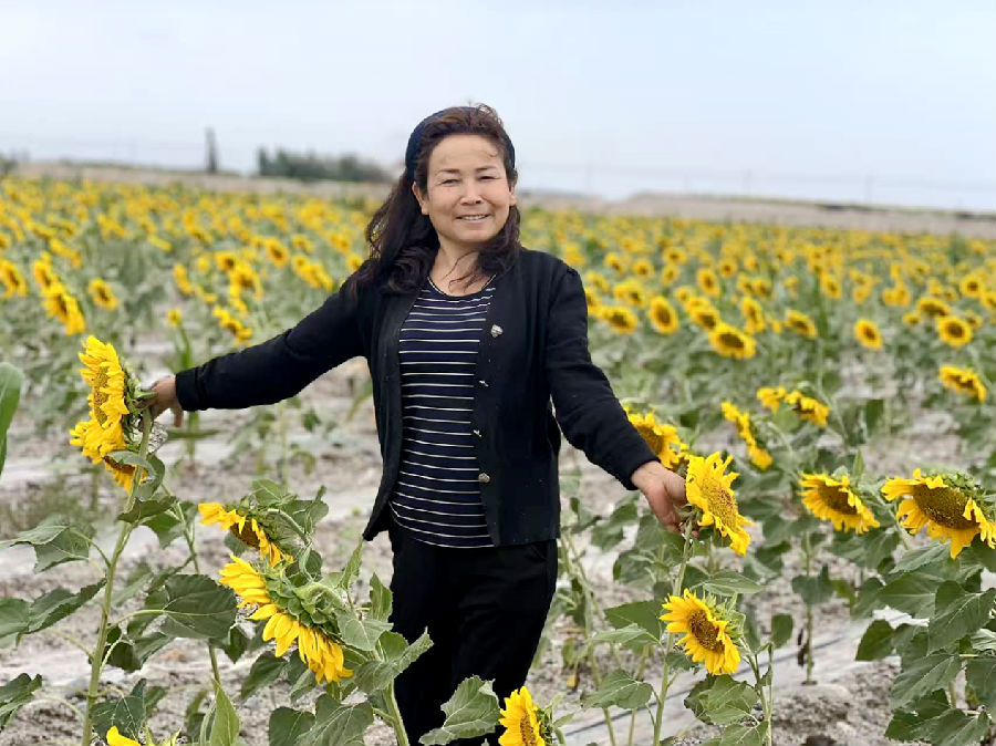 9月4日，新疆阿克苏地区在温宿县依希来木其乡阔依其村的田野上，绽放了金色花的向日葵，村民在花海跳起了舞蹈 （海日古丽·加马力 摄）
