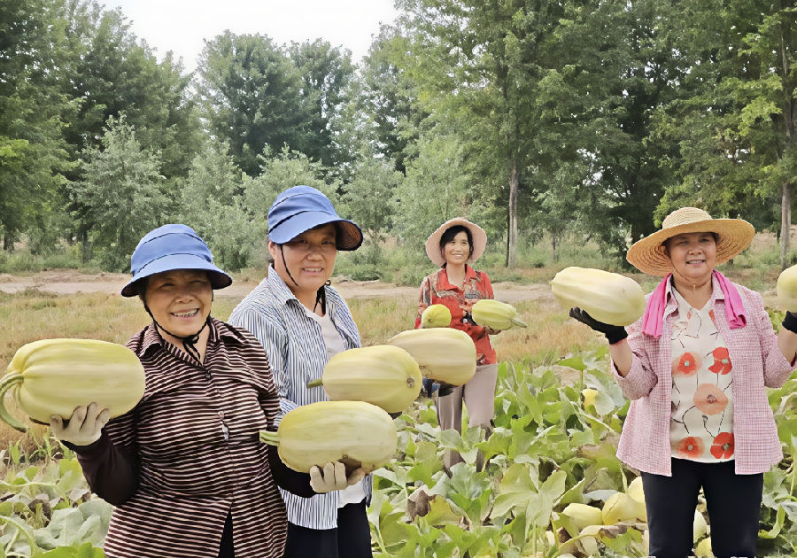 丰收的喜悦。（王振坤 摄）