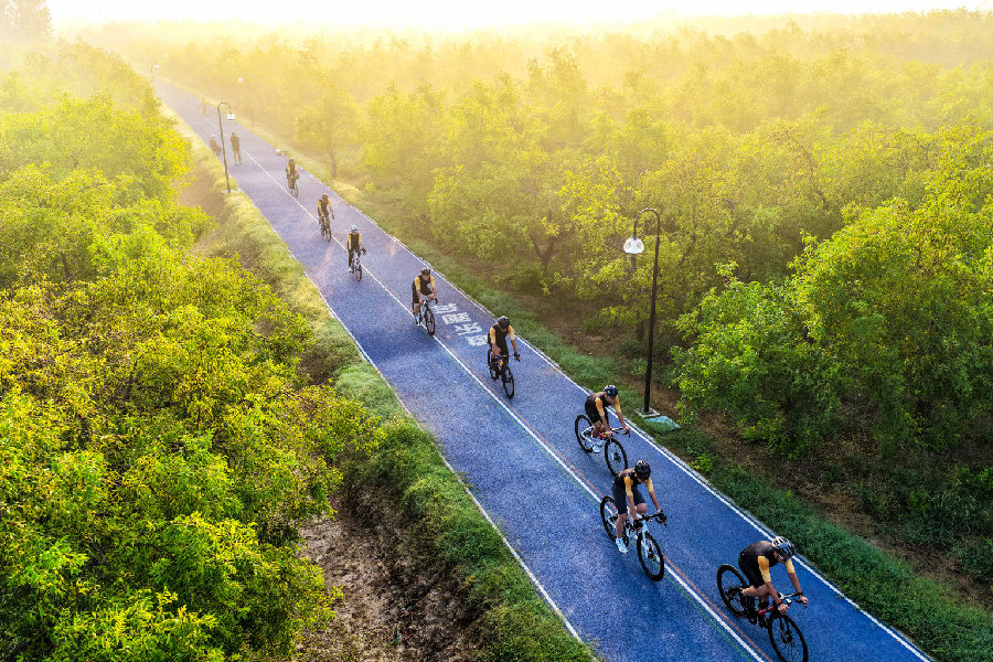 自行车运动爱好者在山东省乐陵市绿色枣林健康大道骑行（贾鹏 摄）