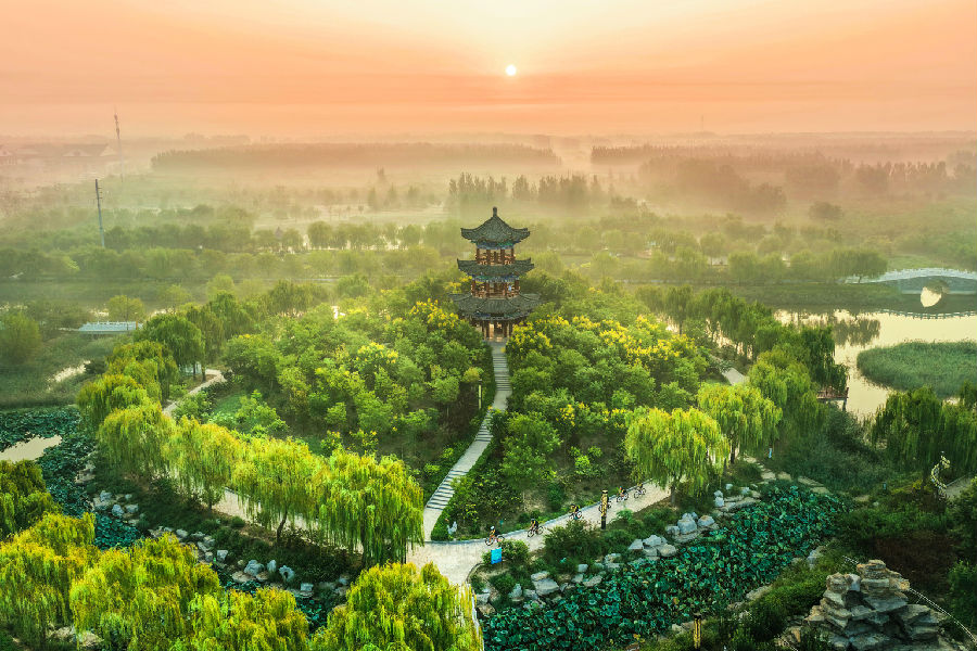 自行车运动爱好者在山东省乐陵市冀鲁边湿地公园骑行（贾鹏 摄）