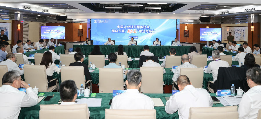 对接会现场（郭宁 摄）