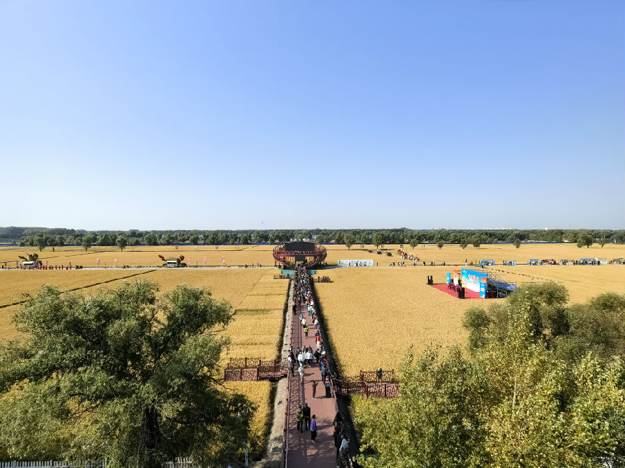 农场俯拍（刘尧 摄）