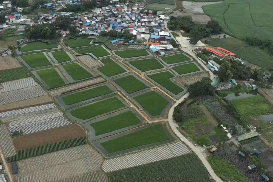 耿马县孟定镇全域土地综合整治项目 （杨光麟 摄）