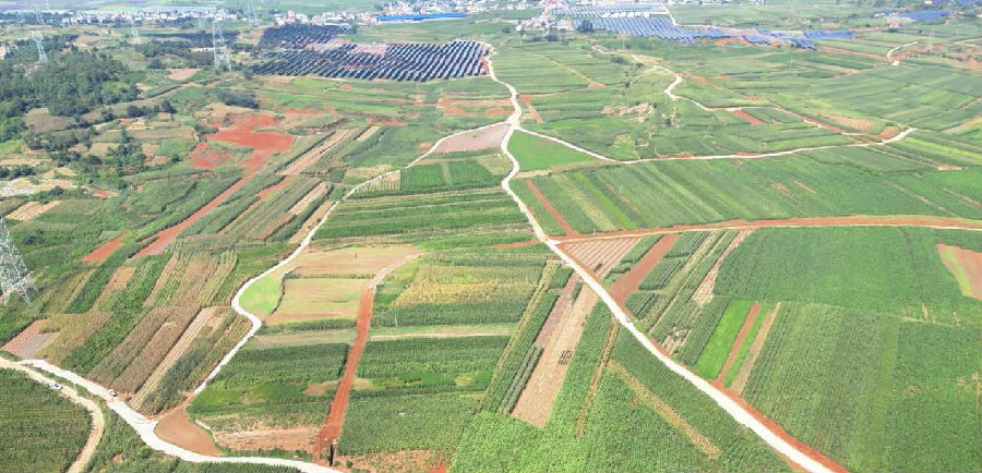 沾益农业区 （李雪 摄）