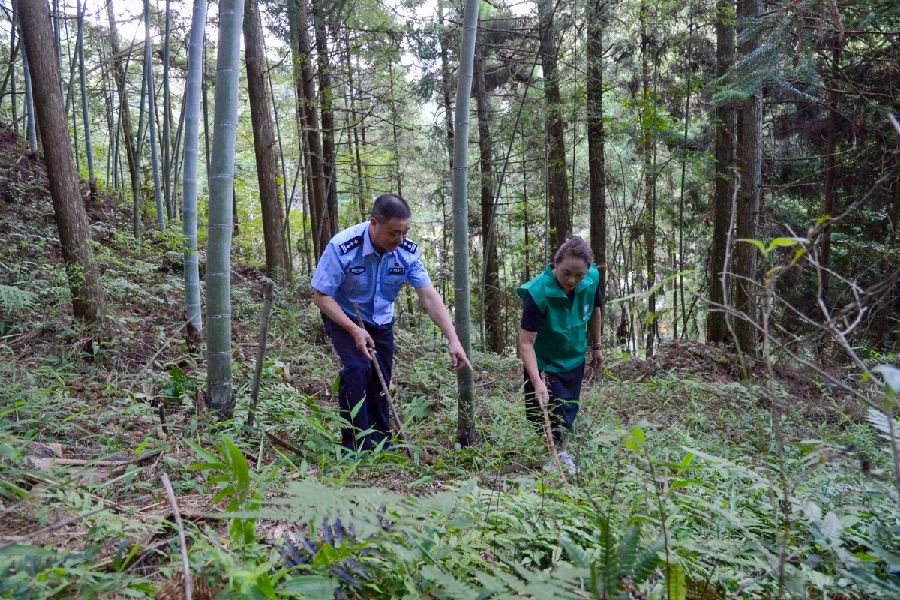 联合百山义警开展巡山检查（周焕锦 摄）