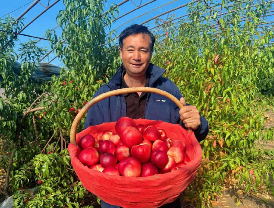 基地负责人王凤明满脸丰收喜悦（孟维欣 摄）