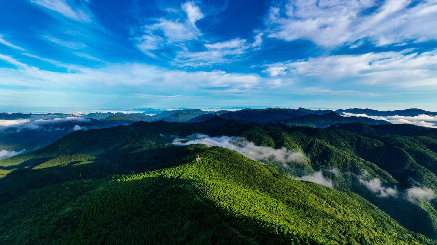 百山祖国家公园风貌（胡礼贵 摄）