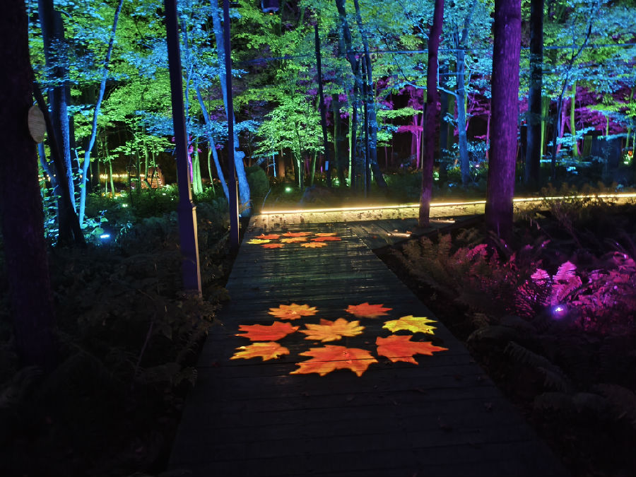 星垂平野（贾云生 摄）