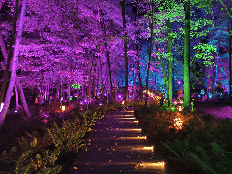 寻路霓虹（贾云生 摄）