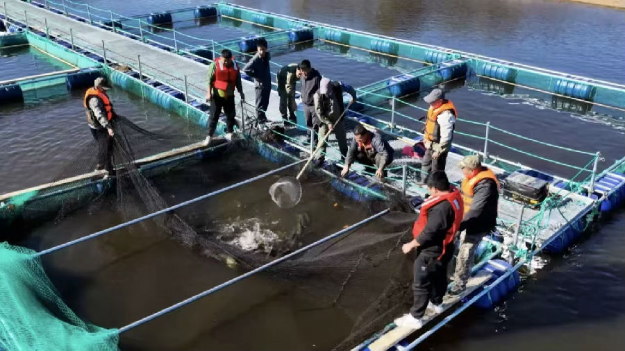 捕捞现场（李杭蔚 摄）