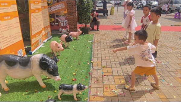 乳猪套圈游戏区（骆金梅 摄）