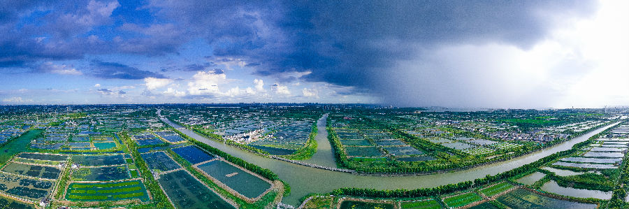 昆山巴城阳澄湖大闸蟹产业基地（陆飞 摄）