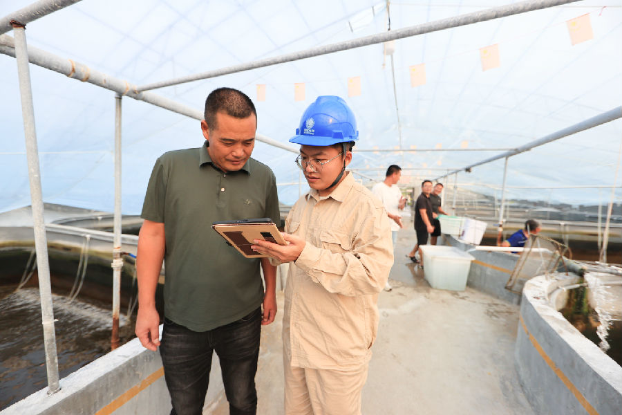 胡顺龙为养殖户匡海涛解读能效账单。 （司伟 摄）