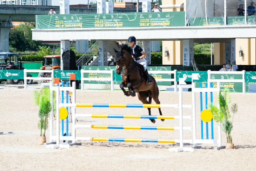 比赛现场（何仁文  摄）