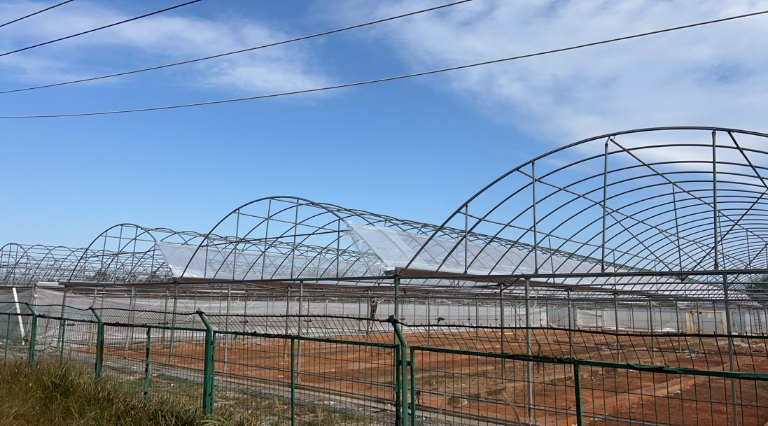 樟市镇片区温室大棚搭建现场 （曹耀 摄）