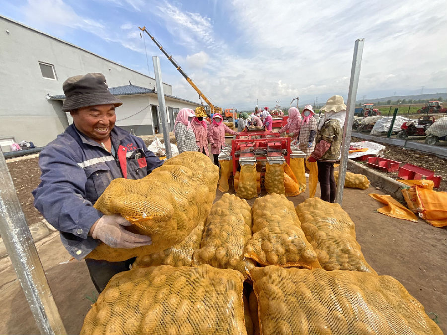 丰收的喜悦（申维祖 摄）