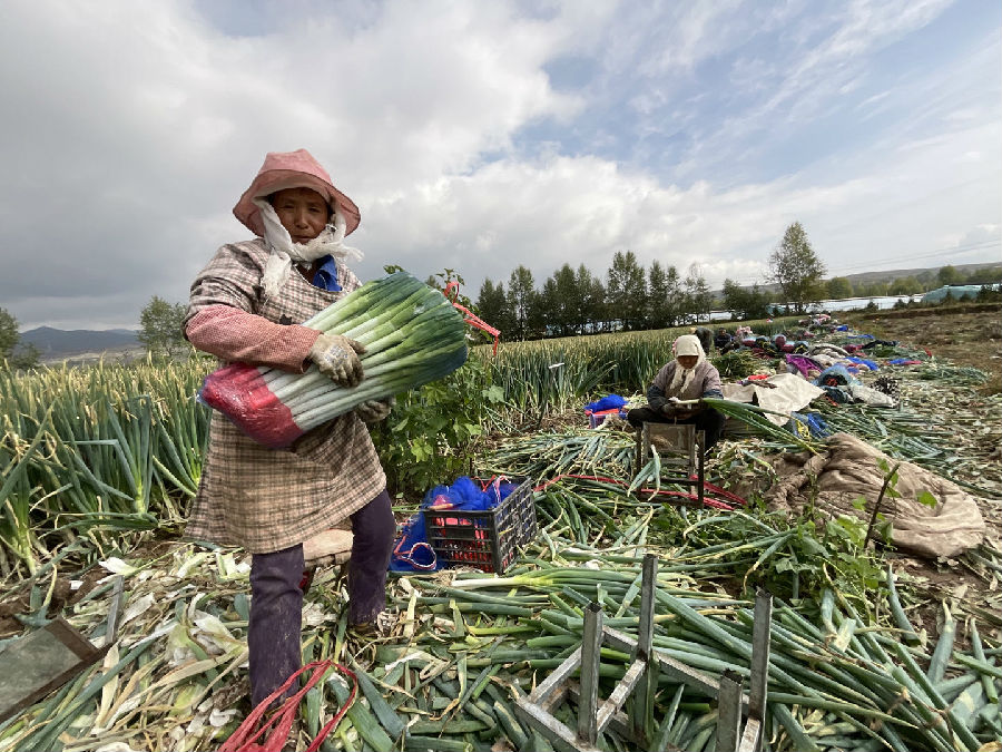 家门口打工，拓宽了增收渠道（申维祖 摄）