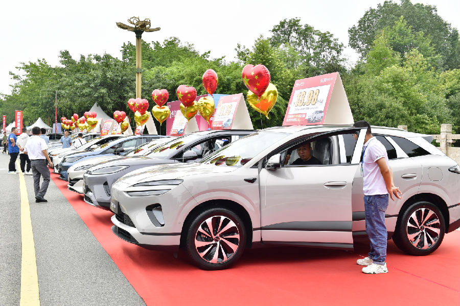 市民看车（陈美桦 摄）