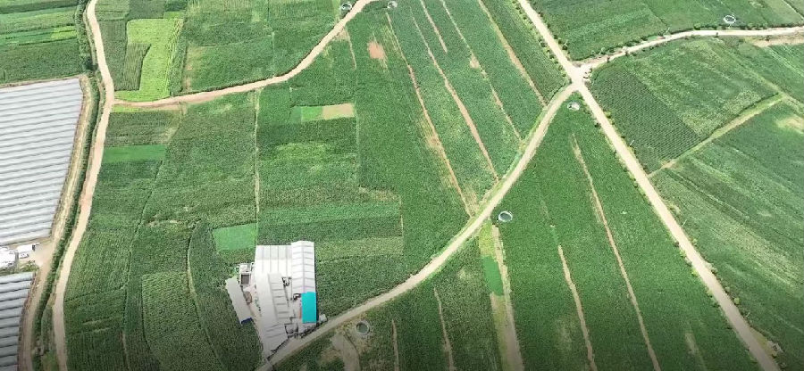 麒麟区耕地整理项目区 （余琼凤 摄）