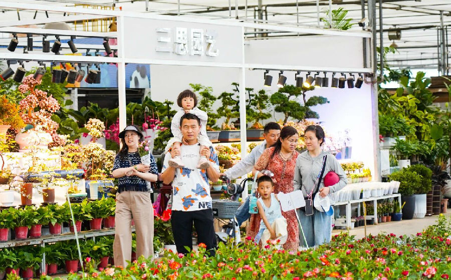 市民选购鲜花（孙浩 摄）