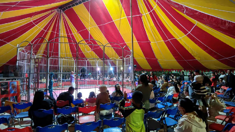 马戏杂技表演现场（王水江 摄）