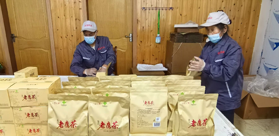 青川老鹰茶新品（鄢怀林 摄）