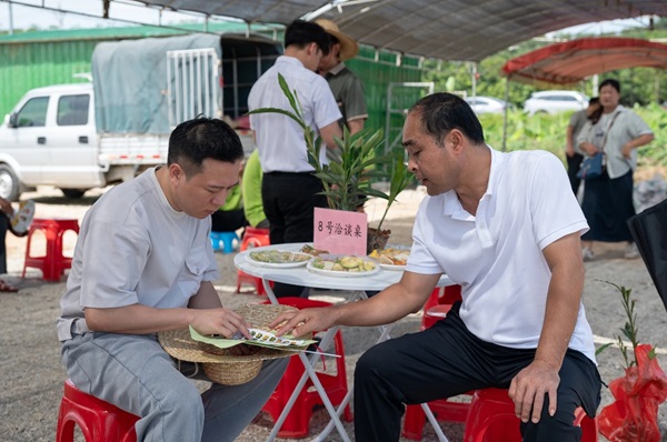 各企业单位围绕苗木产业发展等情况进行洽谈（黄立华 摄）