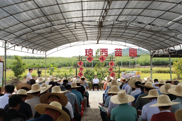 发布会现场（黄立华 摄）