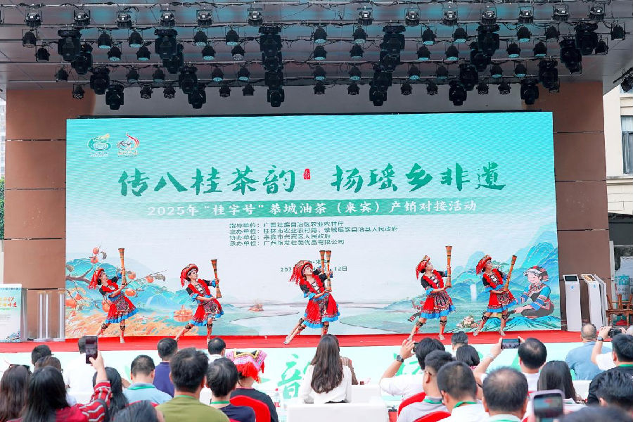 活动现场（陈柯蓉 摄）