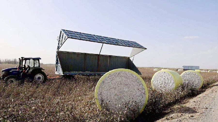 装运棉花（王欣怡 摄）