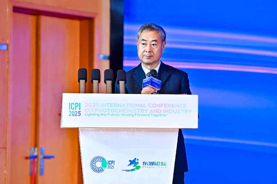 大会执行主席、华中师范大学化学学院院长肖文精教授在闭幕致辞（叶伦 摄）