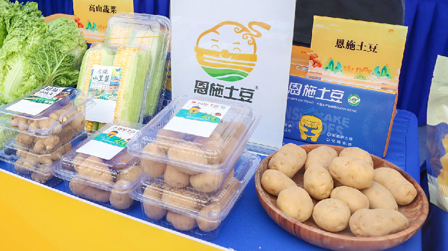 恩施土豆现场展示(乾勋豪 摄) 恩施土豆现场展示(乾勋豪 摄)