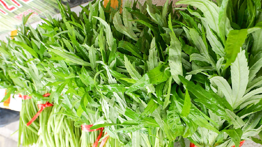 新鲜的藜蒿(乾勋豪 摄) 新鲜的藜蒿(乾勋豪 摄)