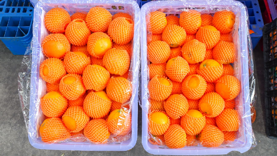 秭归脐橙(乾勋豪 摄) 秭归脐橙(乾勋豪 摄)