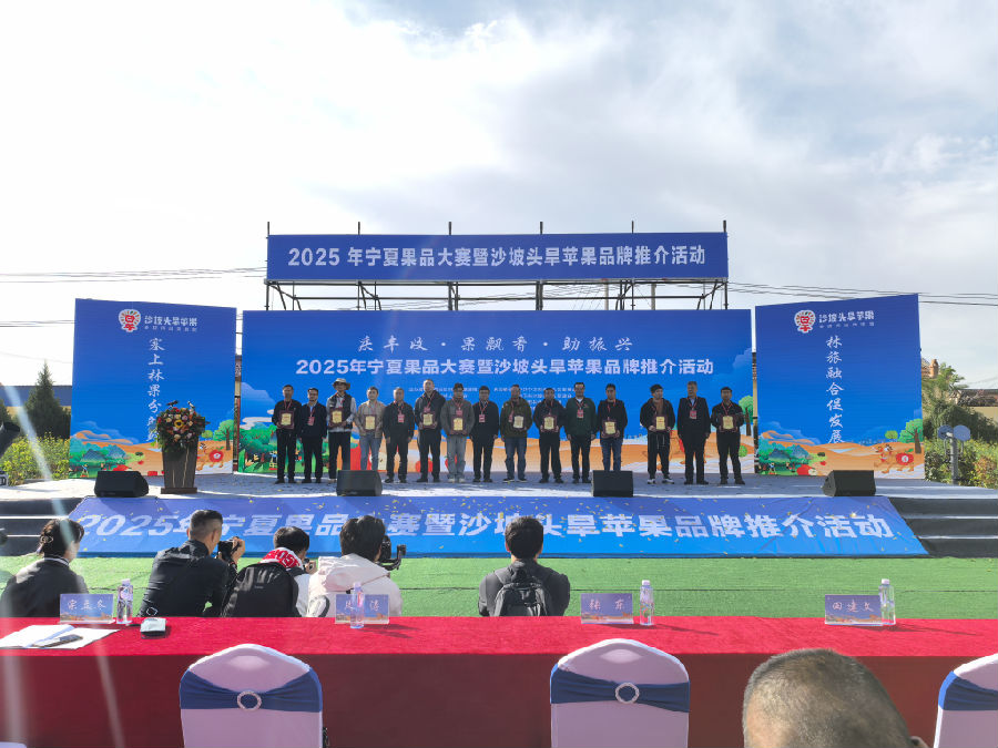 活动现场（吴舒睿 摄）