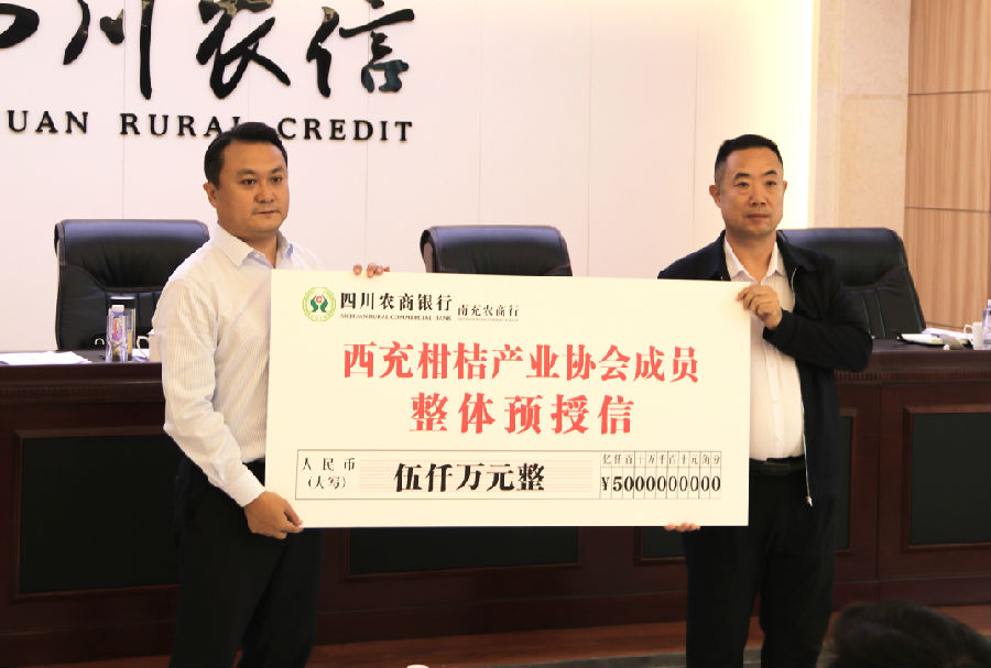 农商银行与有机柑桔协会进行贷款预授信 （黄攀 摄）