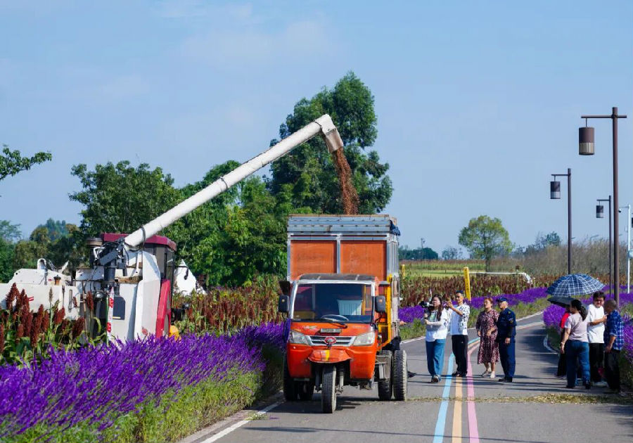 活动现场（刘婷 摄）