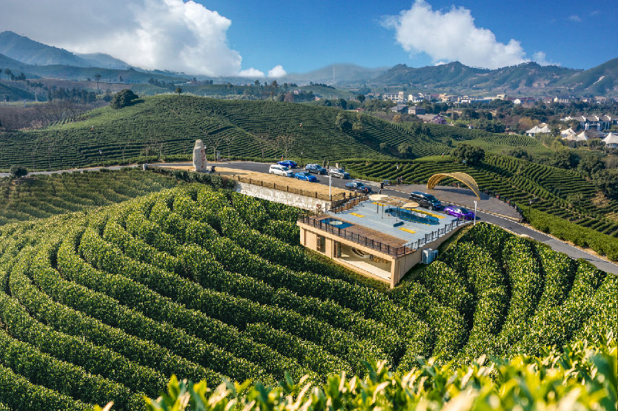 安吉县溪龙乡万亩茶园白茶观景台（卫杰 摄）