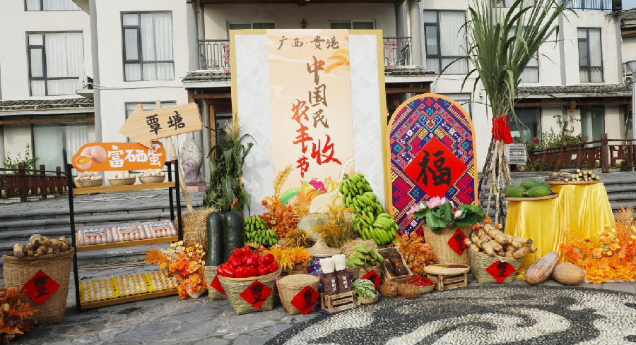 丰收节活动现场（梁棋 摄）