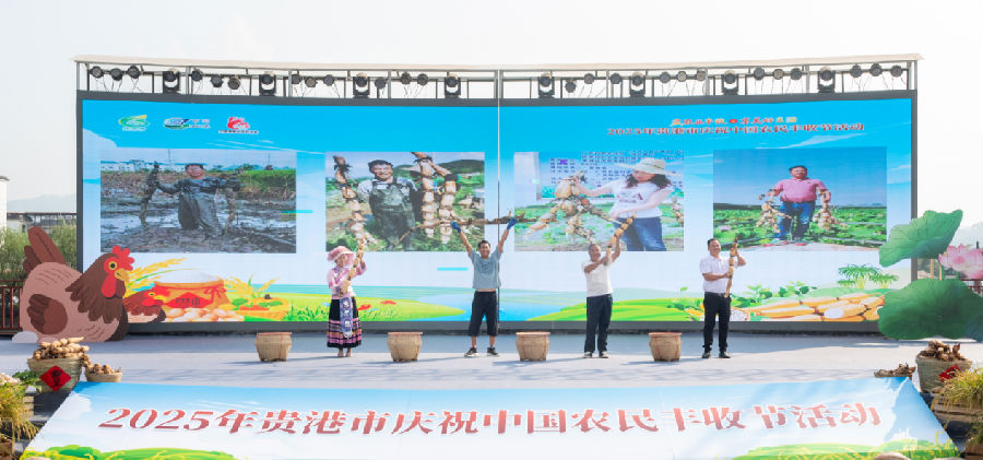 丰收节活动现场（甘亚萍 摄）